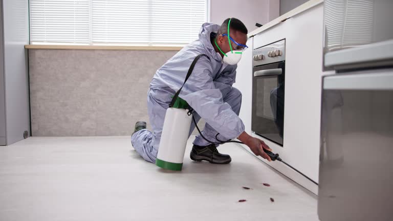 Best Real Estate Pest Inspections  in Falls Church, VA